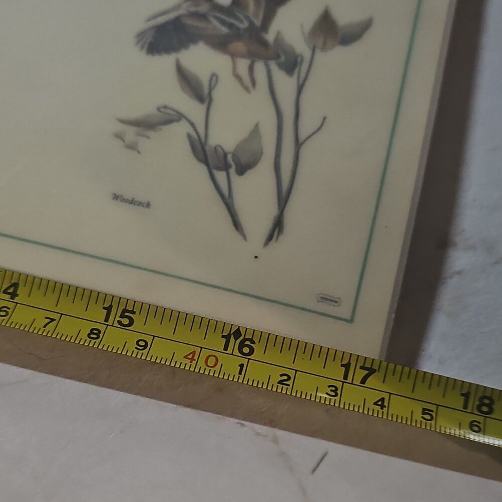 Vintage Eckelberry Bird PlacematSet Quail Pheasant Wildlife Sporting Lodge Decor - Picture 9 of 10